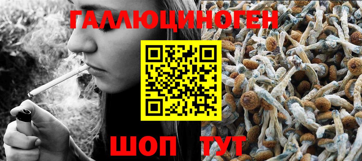 Псилоцибиновые грибы ЛСД  Вход с VPN  Псилоцибиновые грибы MAGIC MUSHROOMS  купить   Новошахтинск 