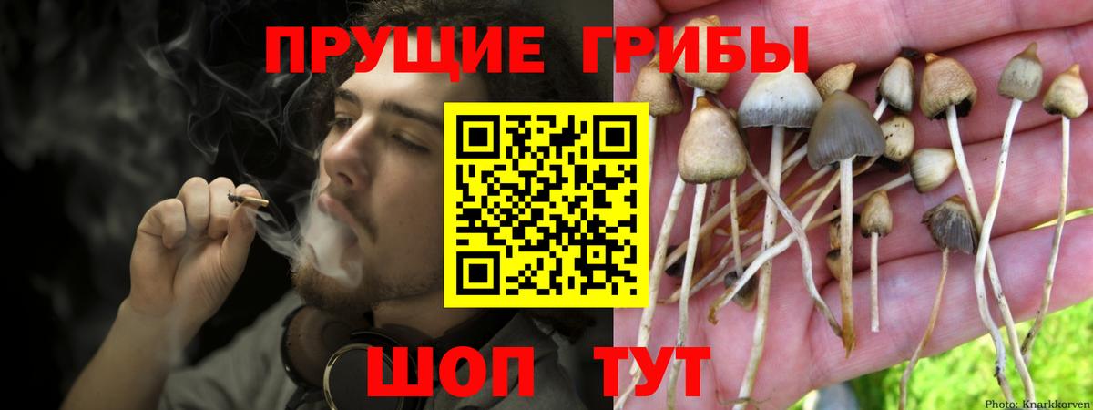 Галлюциногенные грибы прущие грибы Новошахтинск